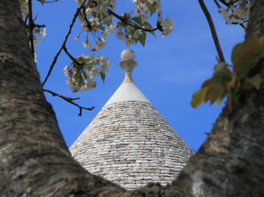 Pietraluce Pensionat Alberobello Eksteriør billede